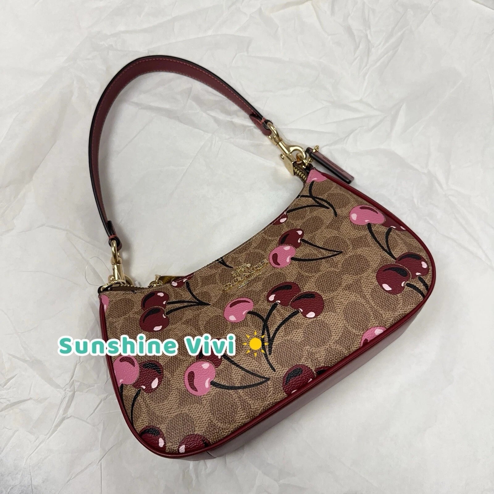 NWT Coach Teri Shoulder Bag In Signature Canvas
